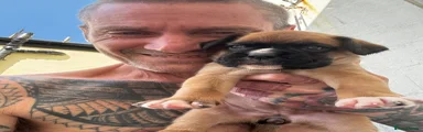 Boxer 2
