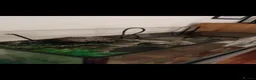 Terrapin reptiles for sale: Terrapin for Sale  - Advert 1