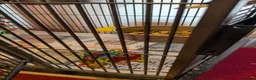 Cockatiels birds for sale: Beautiful cockatiel and large cage  in Norwich - Advert 6