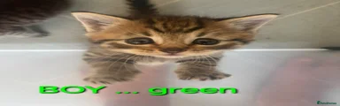 Green collar
