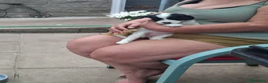Mixed Breed 4