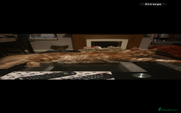 Maine Coon cats for sale:  2 beautiful maine coon kittens left - Image 32