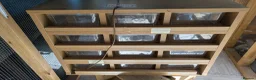 Python Snake reptiles for sale: Various Royal pythons & hatchling rack available  - Advert 2