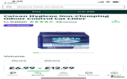 Ragdoll cats for sale: Lovely Ragdoll looking for lovely family - Advert 20