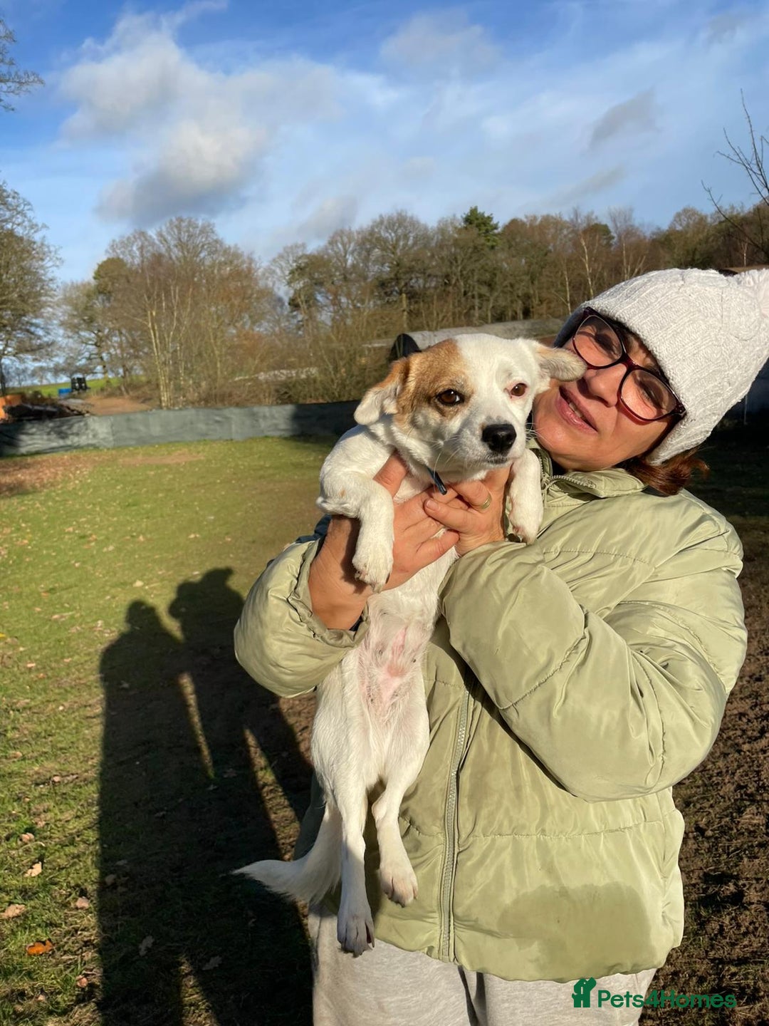 Mixed Breed dogs for adoption: RONNA - a beautiful tiny girl, for a Loving Home - Advert 18