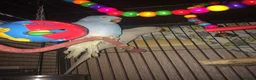 Ringnecks birds for sale: Male Indian ringneck and cage for sale  - Advert 2