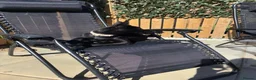Belgian Shepherd Dog dogs for sale: Black Belgian mal 13 weeks  - Advert 4