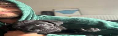 Black male