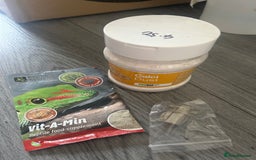 Leopard Gecko reptiles for sale: Leopard Gecko vivarium full set up - Image 6