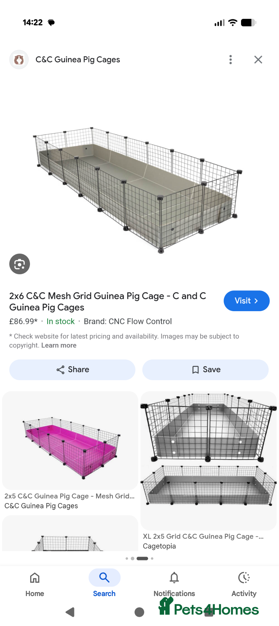 Guinea Pig rodents for sale: Guinea pigs for sale in York - Advert 14