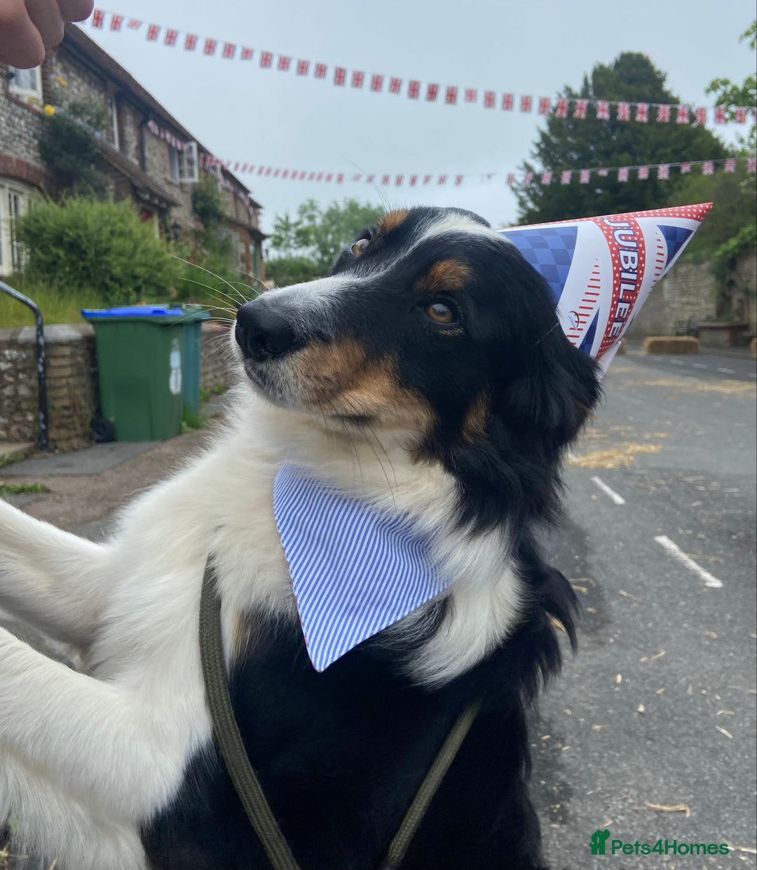 Gallery Image {{count}}