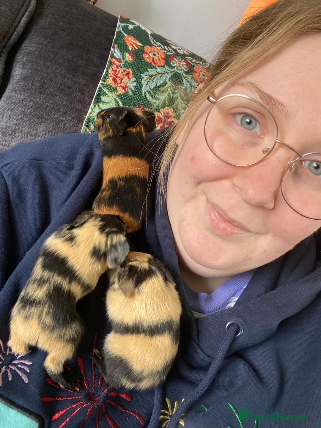 Guinea Pig rodents for sale: Baby guniea pigs to be reserved - Advert 2