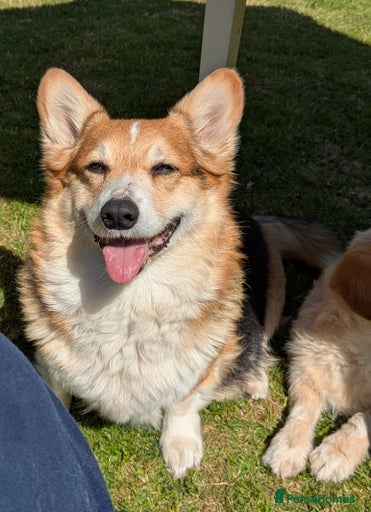 Gallery Image {{count}}