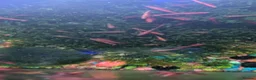 Shrimps fish for sale: Red Cherry Shrimps  in Guisborough - Advert 4