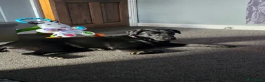 LUNA