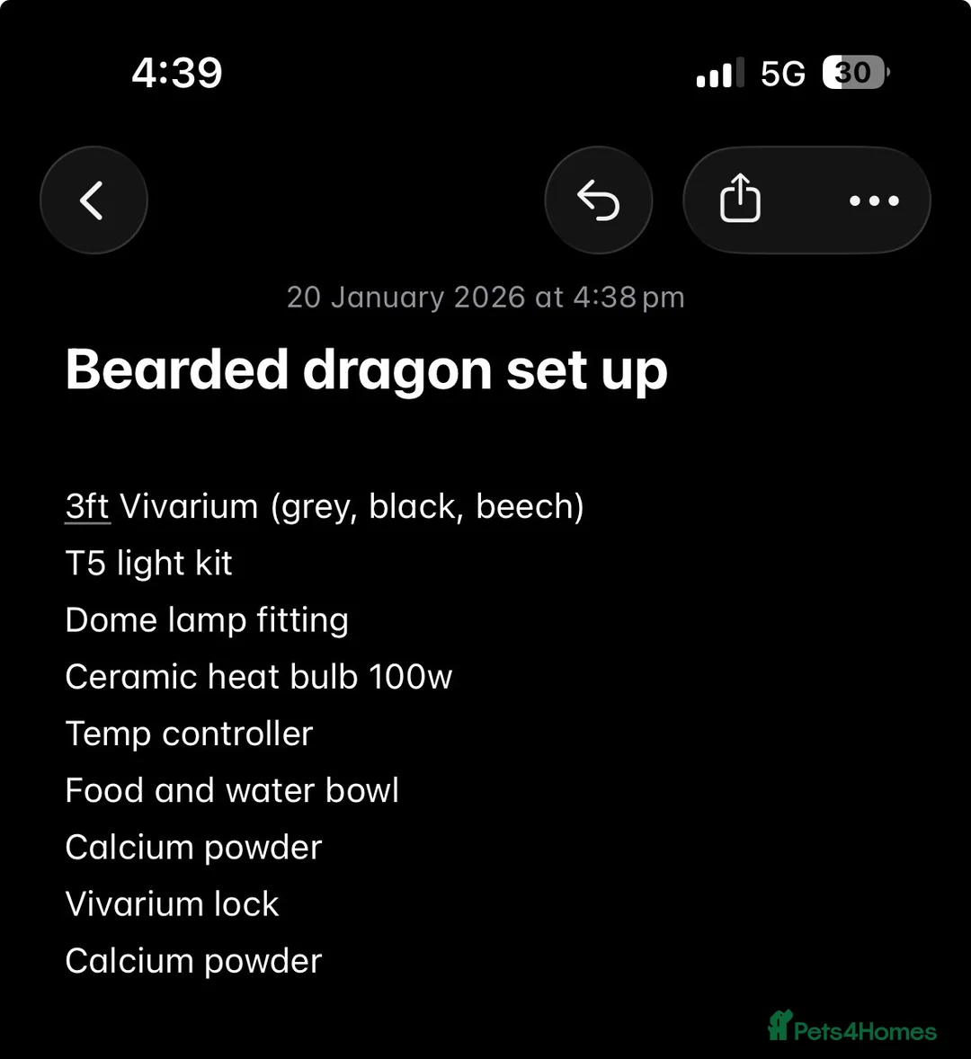 Bearded Dragon reptiles for sale: mixed morph bearded dragon  - Advert 6