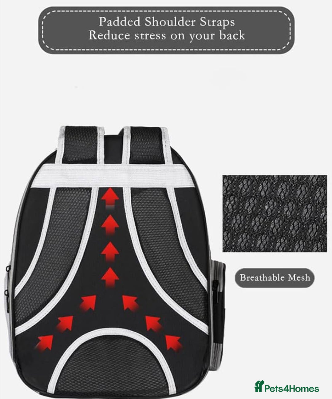 British Shorthair cats for sale: Pet Backpack Carrier Bubble  - Image 3