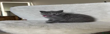 Boy Red