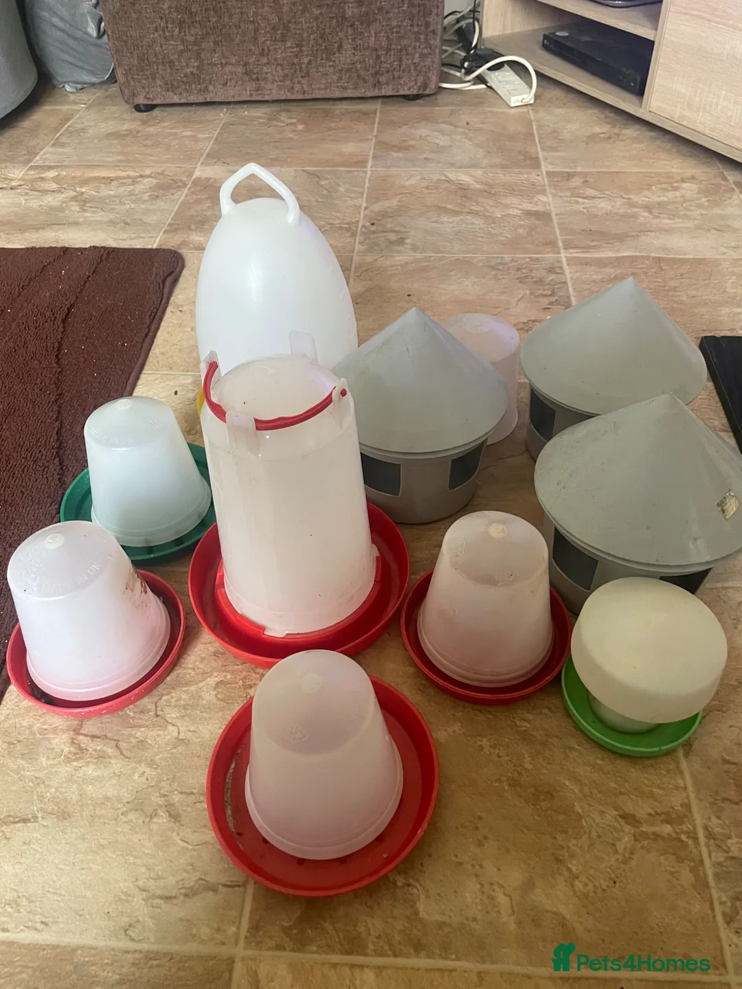 Chickens poultry for sale: Lot of drinkers + feeders for chicks + poultry - Advert 1