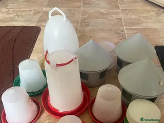 Chickens poultry Lot of drinkers + feeders for chicks + poultry - Advert 1