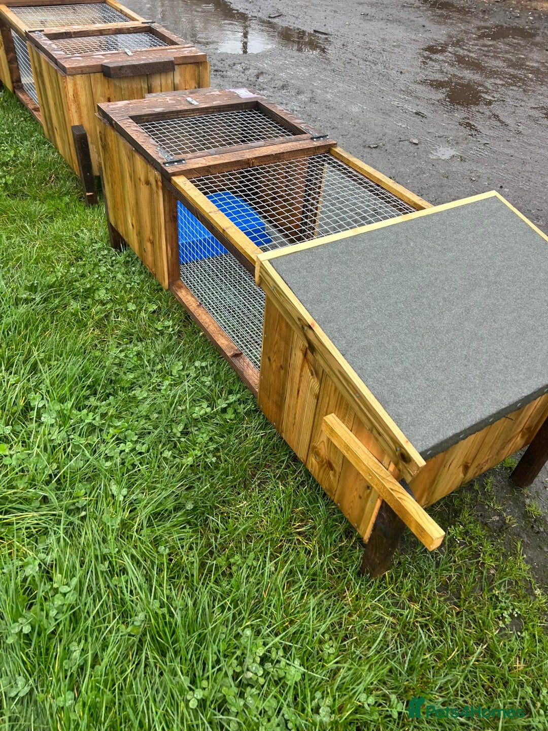 Chickens poultry for sale: Chicken Coops - excellent quality - British Made - Advert 20