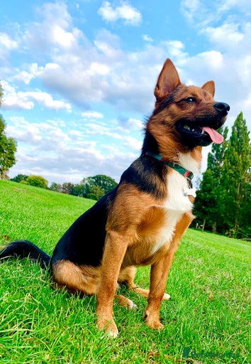 Gallery Image {{count}}