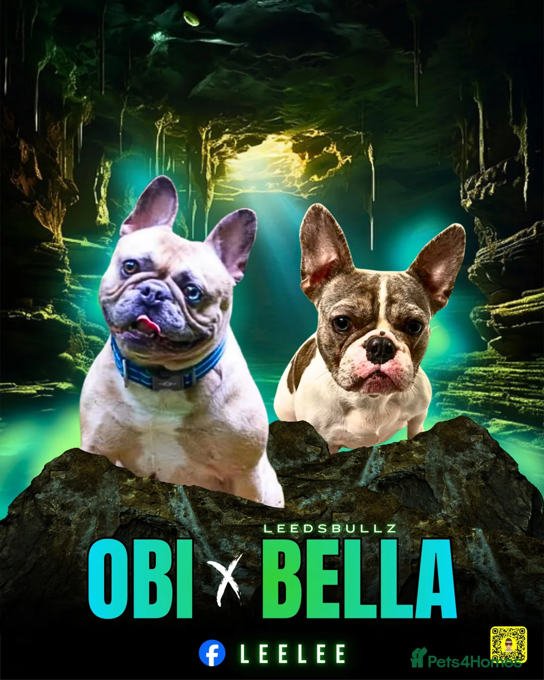 Gallery Image {{count}}