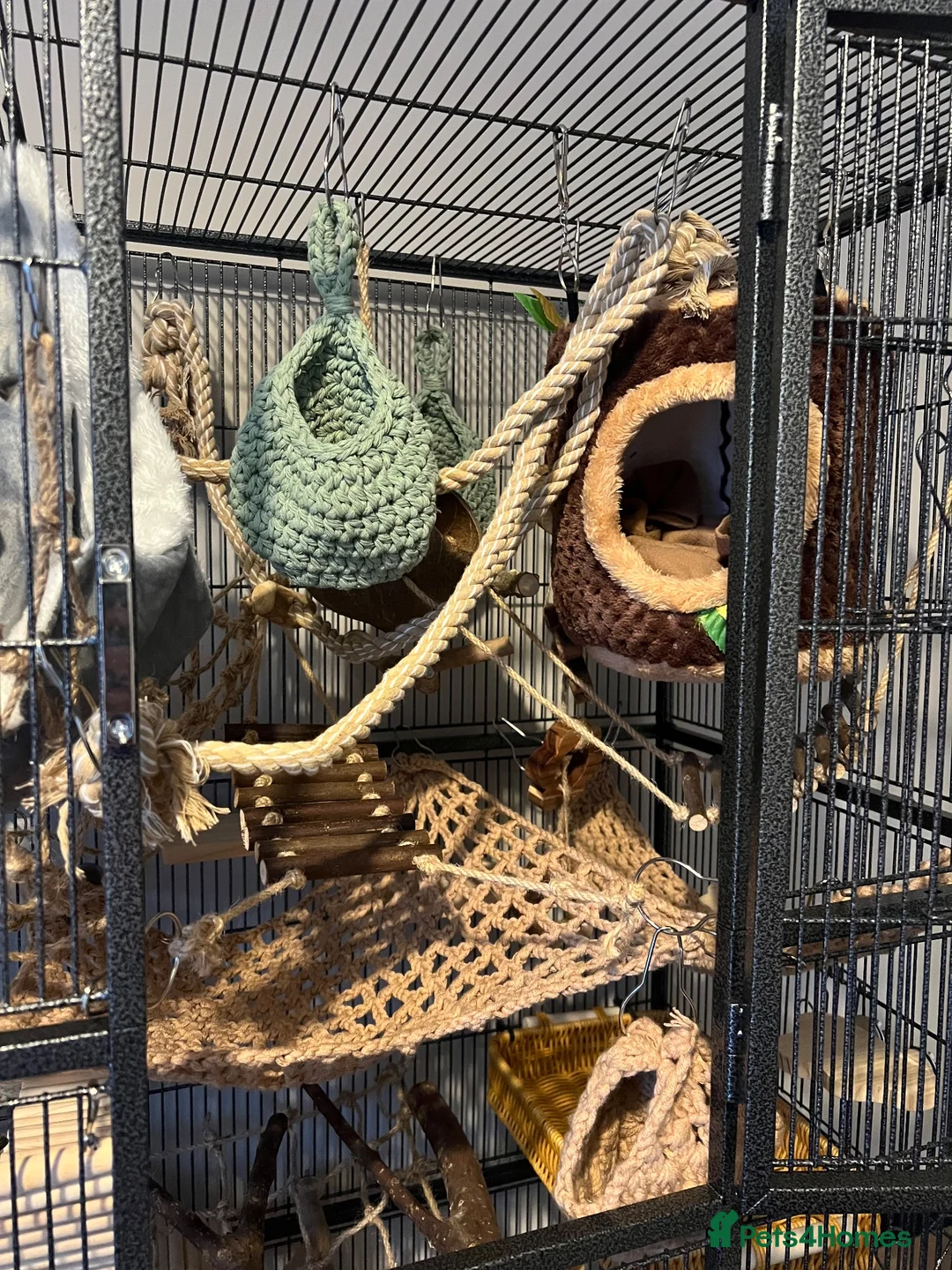 Rat rodents for sale: CAGE + ACCESSORIES Large Standing Rodent Cage - Advert 2