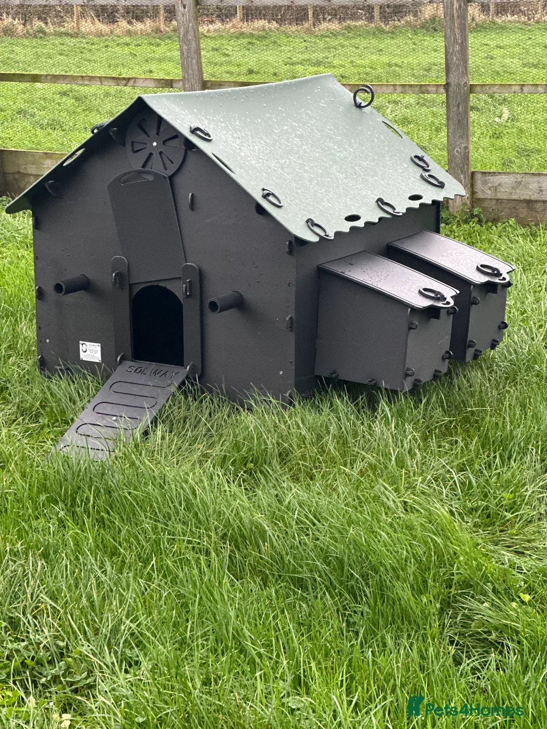 Mixed Breed poultry for sale: Smart Hen House - Recycled - 10/12 Hens - Advert 4
