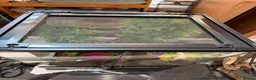Gecko reptiles for sale: Two crested geckos + setup  - Advert 2