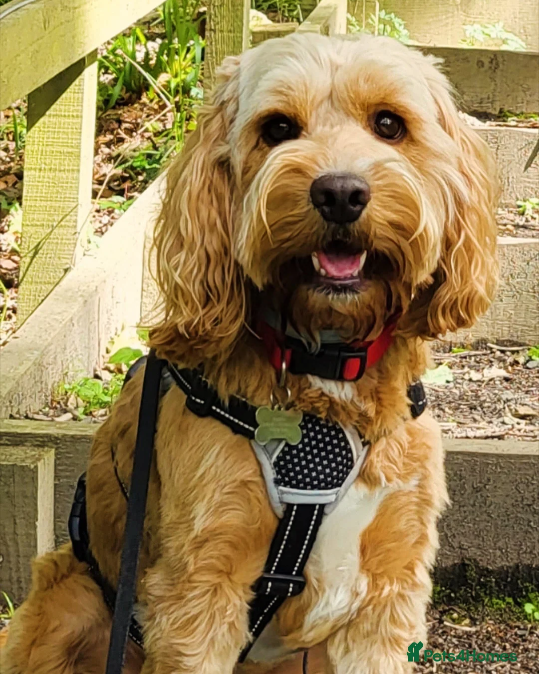 Gallery Image {{count}}