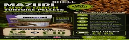 Tortoise reptiles for sale: Horsfield’s, Hermanns and Sulcatas ready at XMAS - Advert 2