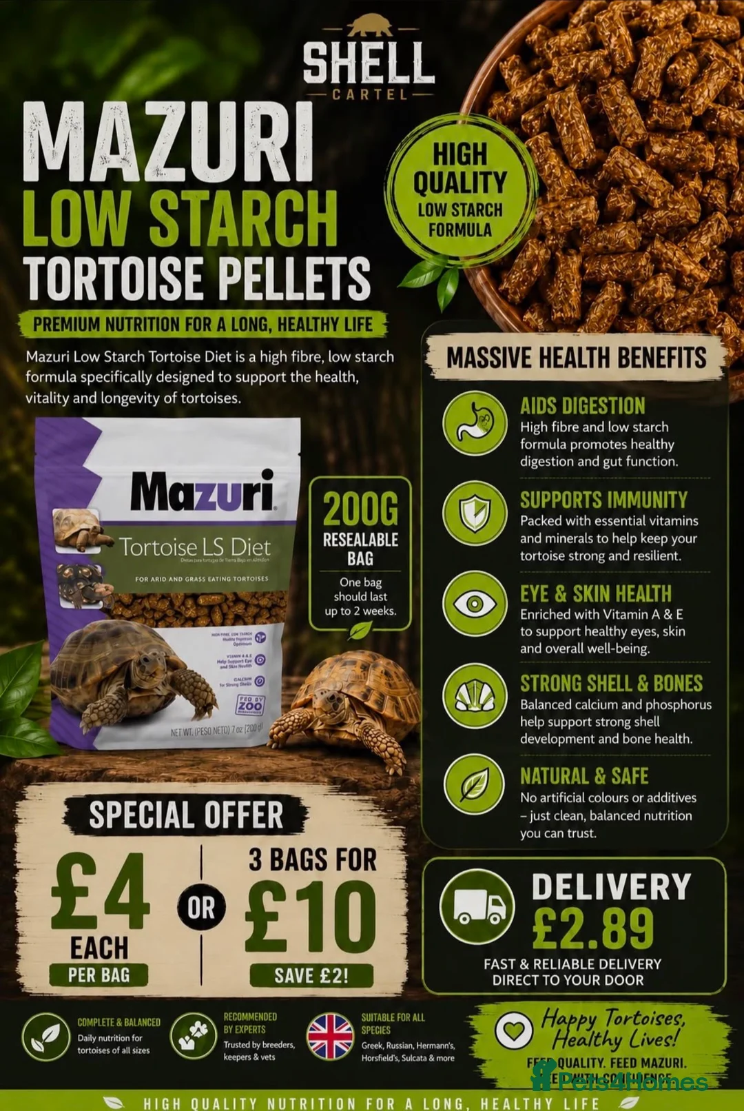 Tortoise reptiles for sale: Horsfield’s, Hermanns and Sulcatas ready at XMAS - Advert 2