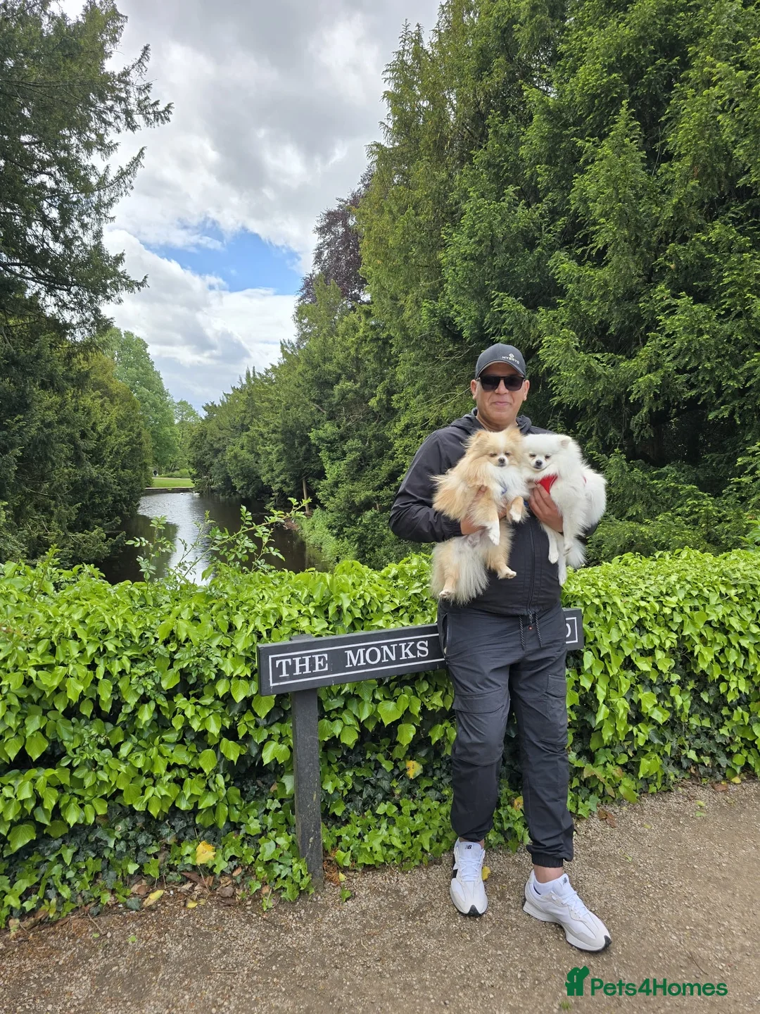 Gallery Image {{count}}