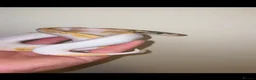 Snake reptiles for sale: Pied ball python  - Advert 3