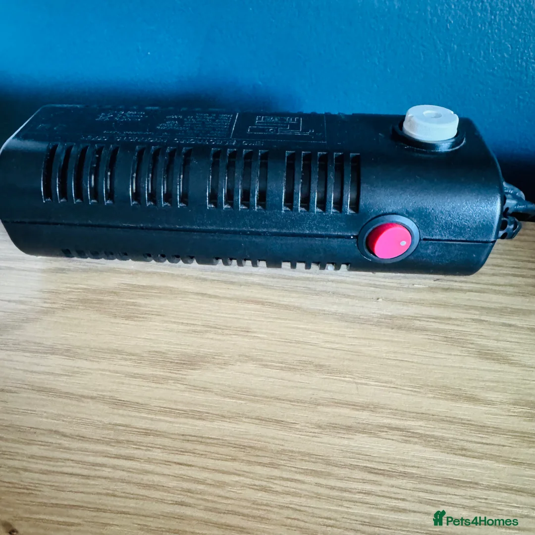 Chameleon reptiles for sale: Chameleons housing  in Halesowen - Advert 2