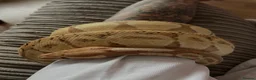 Python Snake reptiles for sale: 3 year old male banana ball python in Bury Saint Edmunds - Advert 1