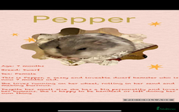 Hamster rodents for sale: Hamsters  - Image 19
