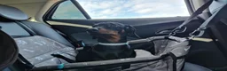 Dachshund dogs for sale: Poppy - Advert 3