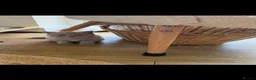 British Shorthair cats for sale: Beautiful British shorthair kittens  READY NOW 🐾 - Advert 1