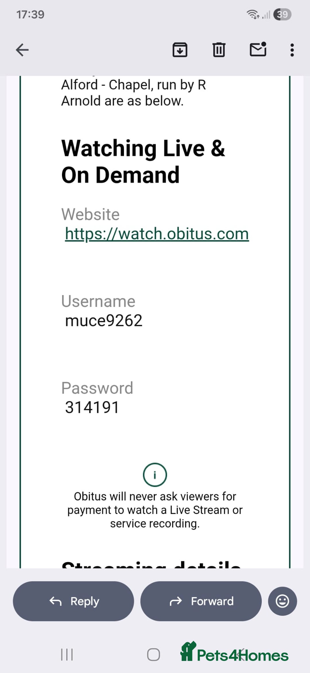 British Shorthair cats for stud: Gccf Active Lilac Stud Blood B NO LH in Manchester - Advert 20