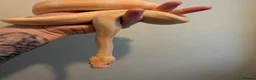 Python Snake reptiles for sale: Albino Royal Python - Advert 2