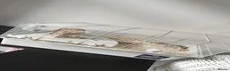 Hamster rodents for sale: Dwarf hamster with full setup and accessories  - Advert 4