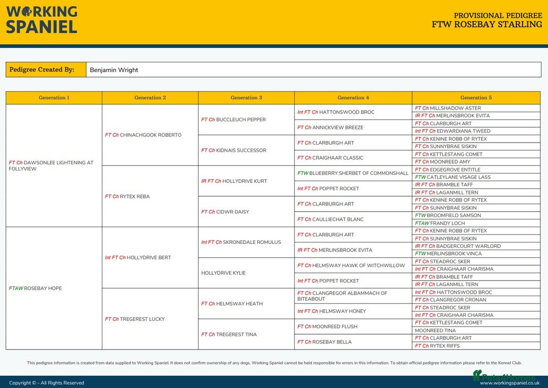 English Springer Spaniel dogs for stud: At Stud - FTW Rosebay Starling - Advert 2