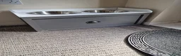 Cavapoo dogs for sale: Cavapoo male 1 year for sale  in Wednesbury - Advert 4