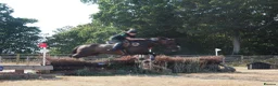 English Thoroughbred horses for sale: Super safe teenagers dream  - Advert 7