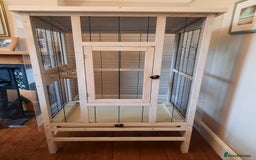 Finches birds for sale: Bird cage & accessories  - Image 1