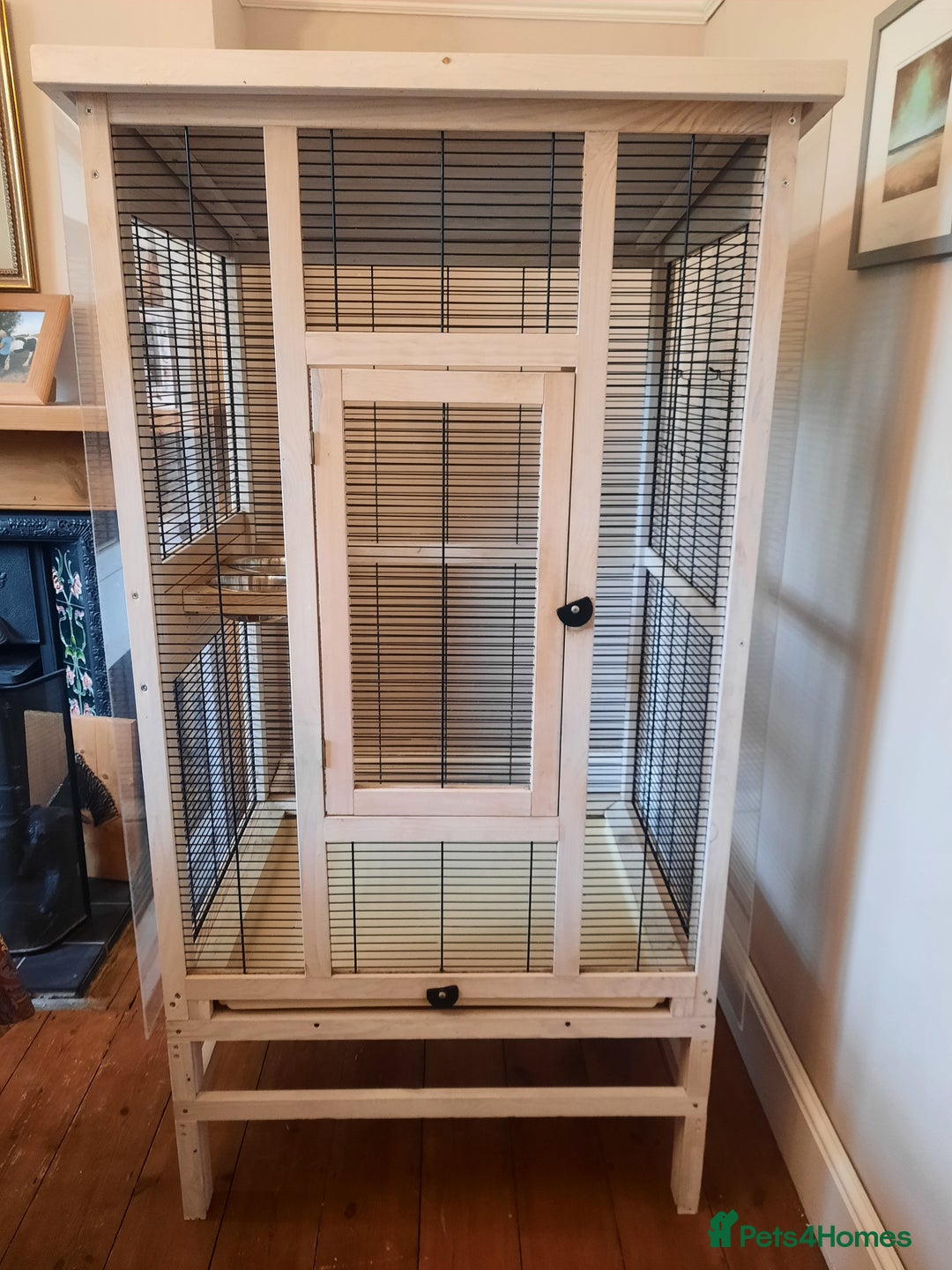 Finches birds for sale: Bird cage & accessories  - Image 1