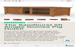 Guinea Pig rodents for sale: 2 Male guinea pigs and cage - Image 11