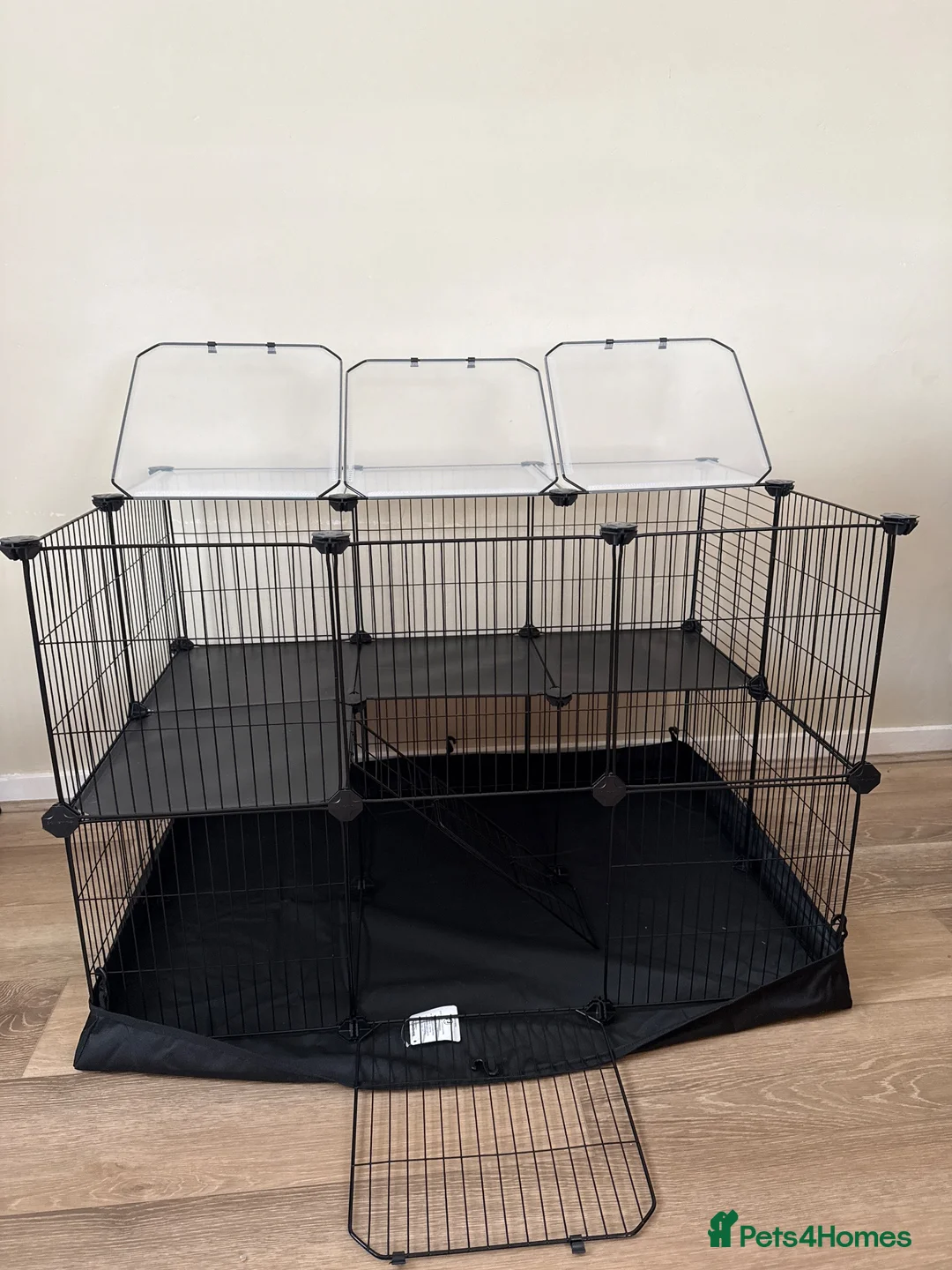 Ferret rodents for sale: Ferret + Cage + Food - Advert 6